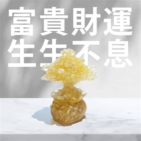 山蘇 風水|山蘇風水指南：吉利之物，聚財發福！ 